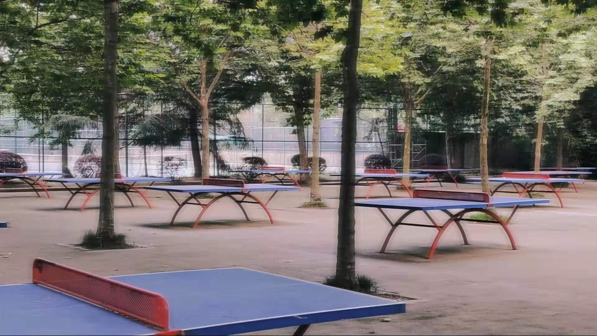 乒乓球场